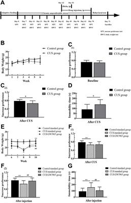 Activation of liver X receptors protects oligodendrocytes in CA3 of stress-induced mice